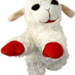 lambchop